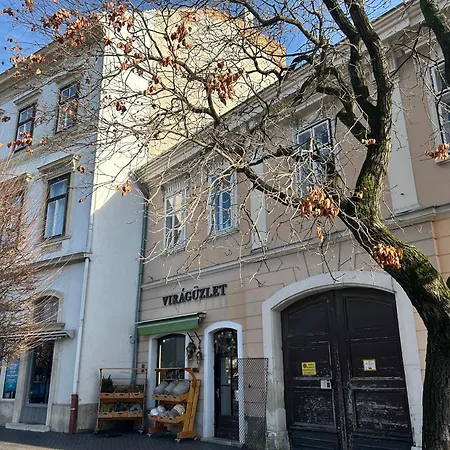Filip Apartment Sopron